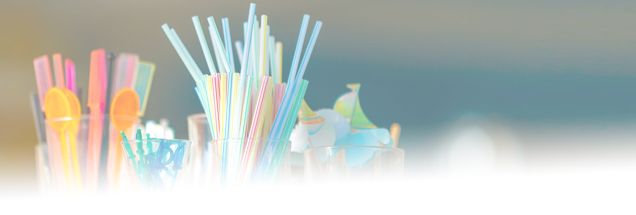 Buy Quality, Wholesale Straws in Bulk - Compostable, Plastic